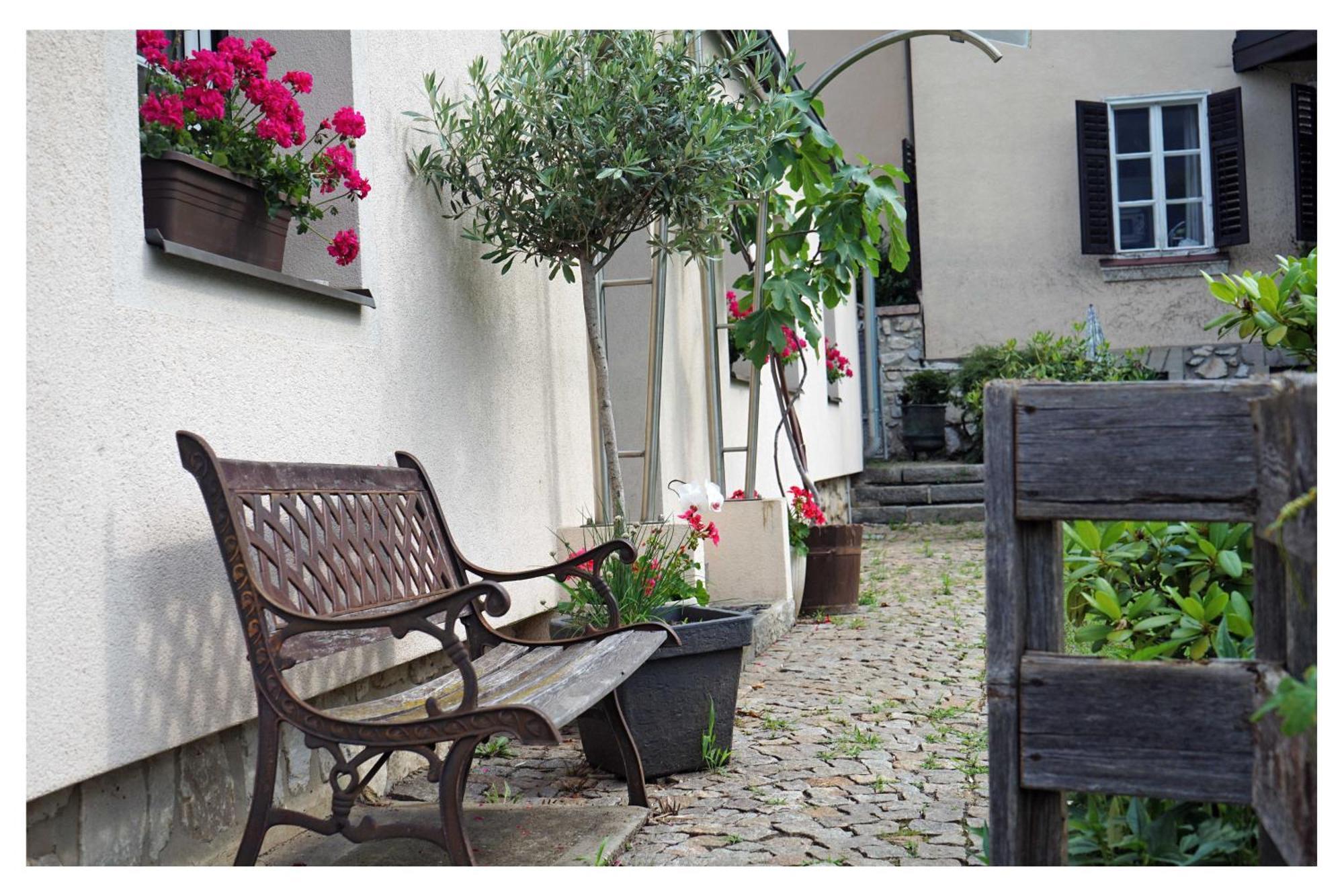 Ingrid'S Guesthouse Spittal Spittal an der Drau Eksteriør billede