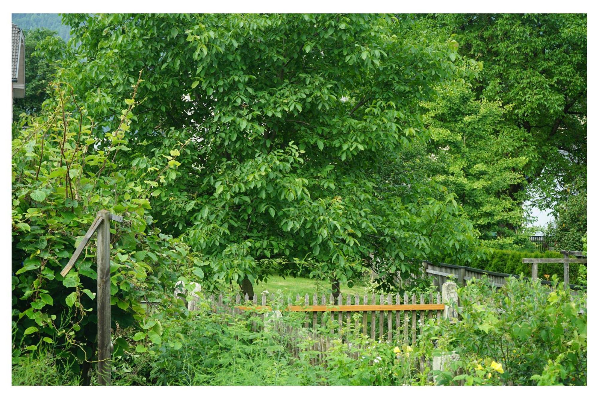 Ingrid'S Guesthouse Spittal Spittal an der Drau Eksteriør billede